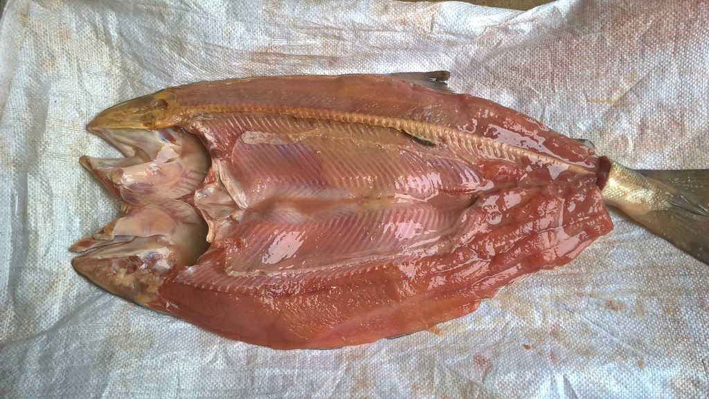 Кета маринованная рецепты приготовления