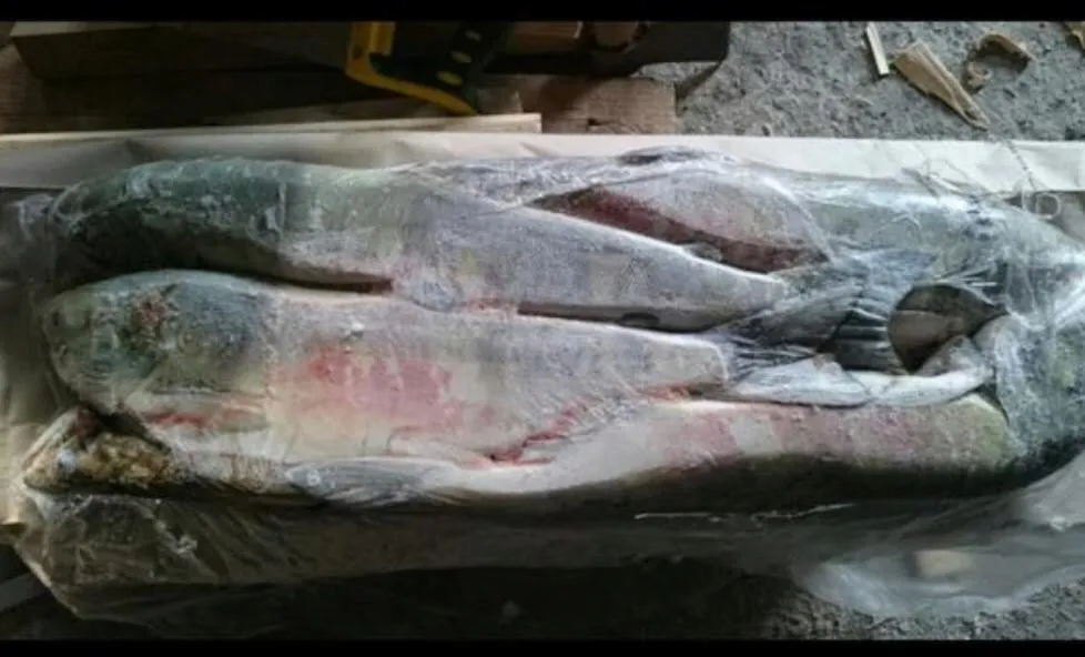 рыбная продукция заморозка в Хабаровске