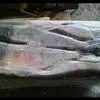 рыбная продукция заморозка в Хабаровске