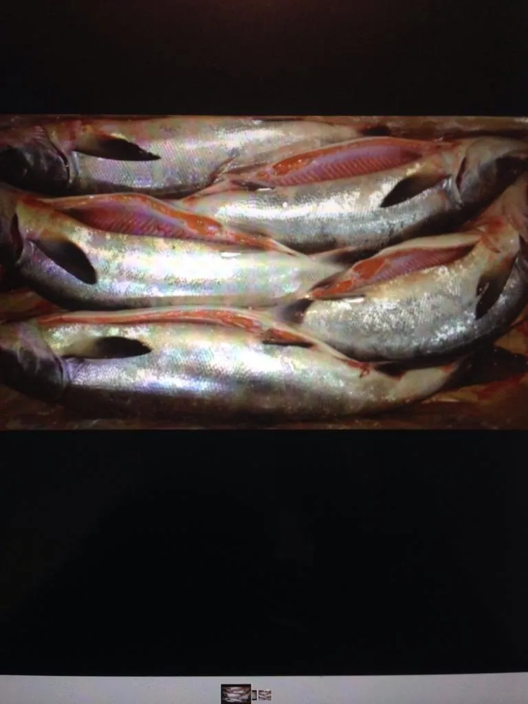 фотография продукта Камчатская и Северокурильская рыба