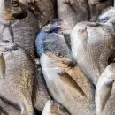 В Хабаровском крае выделят бесплатную рыбу