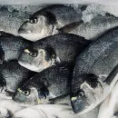 Из Хабаровского края на экспорт в Японию отправлена крупная партия рыбной продукции