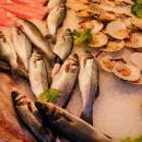Хабаровский отдел ФГБУ «НЦБРП» принял участие в совещании по вопросам безопасности рыбной продукции