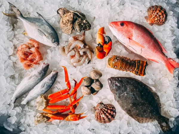 Экспорт рыбы из Хабаровска увеличился на 74% с начала 2022 года